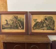 One Vintage Framed Fine Art Audubon Print Birds Of America 2 Plates Avail 41 Grouse 221 Duck